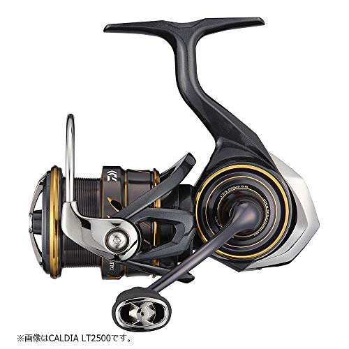 ダイワ(DAIWA) 21 カルディア LT3000-XH