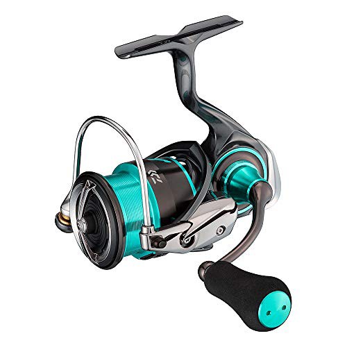 ダイワ(DAIWA) 21 エメラルダス エア FC LT2500S