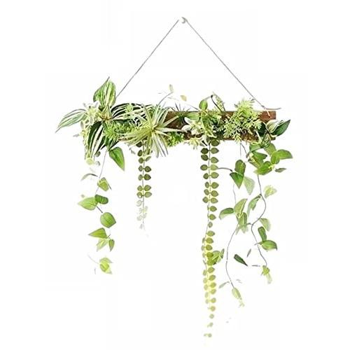 MedianField 【 観葉植物 光触媒 消臭 ＆ 抗菌 ウォールグリーン 】 フェイクグリーン 壁掛け 50cm×40cm フック付き 造花  フ｜au PAY マーケット