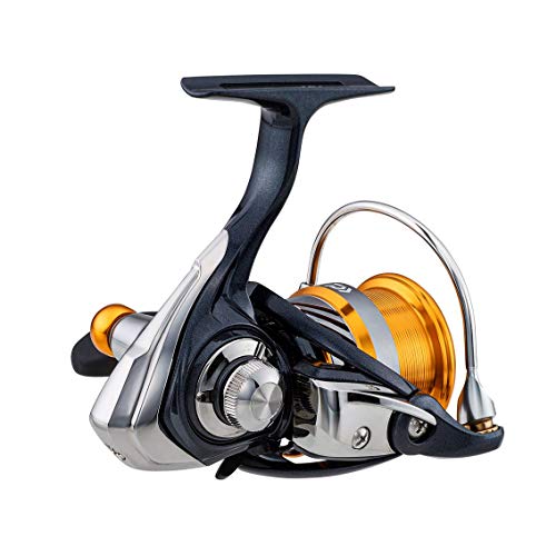 REVROS LT3000S-CH-DH スピニングリール DAIWA（釣り） 20 レブロス LT3000S-CH-DH スピニングリール