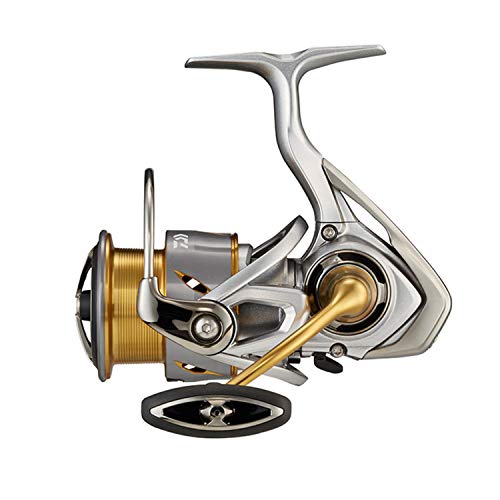 ダイワ(DAIWA) 21 フリームス LT3000-C