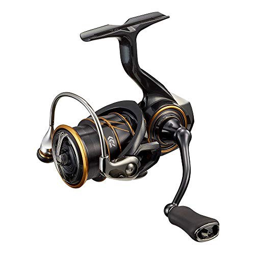 ダイワ(DAIWA) 21 カルディア FC LT2000S