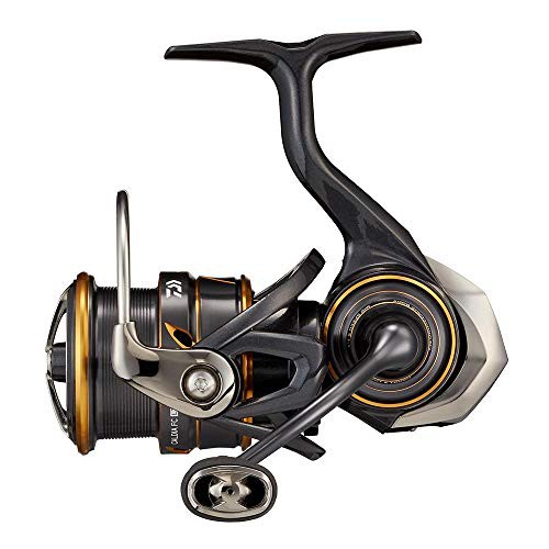 ダイワ(DAIWA) 21 カルディア FC LT2500S