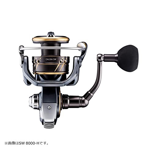 ダイワ(DAIWA) スピニングリール 22 カルディアSW 4000D-CXH(2022モデル)