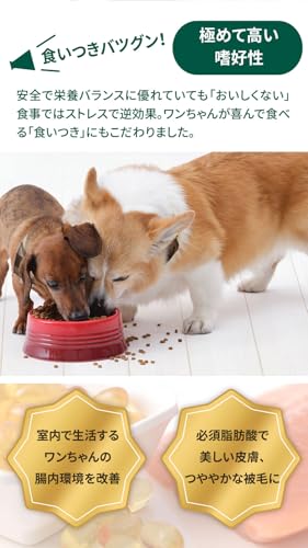 ソルビダ グレインフリー チキン 室内飼育成犬用 5.8kg ソルビダ グレインフリー チキン 室内飼育成犬用 5.8kg