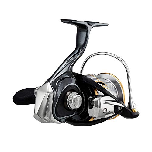 ダイワ(DAIWA) スピニングリール 20 ルビアス LT4000-CXH(2020