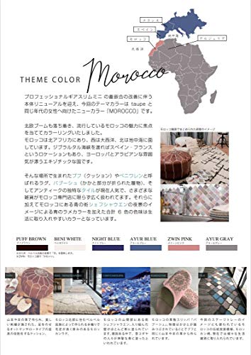 セーラー万年筆 万年筆 プロフェッショルギア スリムミニ 14K コンパクトサイズ 中細 ナイトブルー 11-1503-342