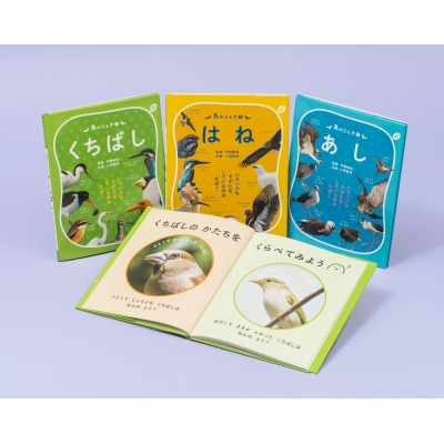 【図鑑】 平野敏明 / 鳥のふしぎ 全3巻 いろいろなすがたをしているのはなぜ? 送料無料