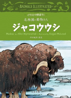 全集 双書 坪田敏男 イラストで学ぼう 北極圏の動物たち ジャコウウシの通販はau Pay マーケット Hmv Books Online