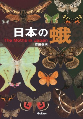 【図鑑】 岸田泰則 / 日本の蛾 送料無料