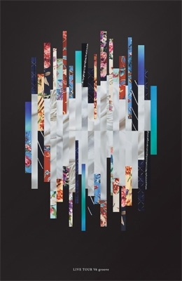 【DVD】初回限定盤 V6 / LIVE TOUR V6 groove 【初回盤B】(DVD2枚組+CD) 送料無料 7,226円