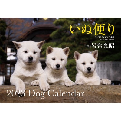 単行本 岩合光昭 いぬ便り 23 Dog Calendar S12 の通販はau Pay マーケット Hmv Books Online