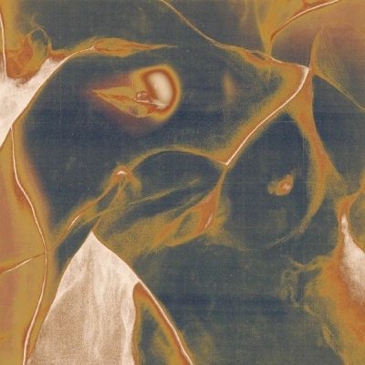 【LP】 Melanie (France) / Cri D'amour  送料無料