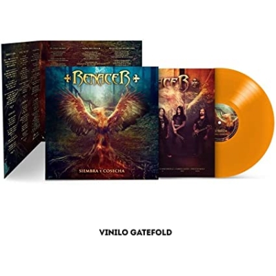 初恋の悪魔」DVD-BOX 初恋の悪魔 DVD 全5 林遣都・ 仲野太賀・