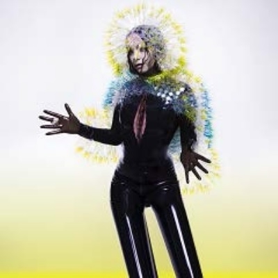 【LP】 Bjork ビョーク / Vulnicura (帯付 / 輸入盤国内仕様 / 2枚組アナログレコード) 送料無料の通販は