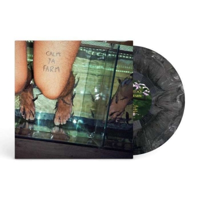 【LP】 Murlocs / Calm Ya Farm (Tangled Direction Vinyl) 送料無料の通販は