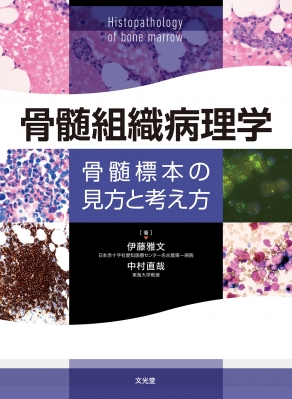 【読みもの】 伊藤雅文 / 心臓部社会システム病理学学 心臓部試験片の観点とものの見方 貨物輸送無料