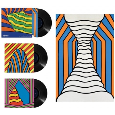 【LP】 THE CHEMICAL BROTHERS ケミカルブラザーズ / For That Beautiful Feeling（3枚組アナログレコード） 送料無料 9,139円