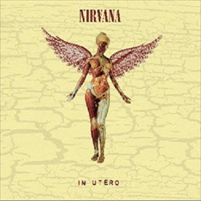 【LP】 Nirvana ニルバーナ / In Utero (30th Anniversary)(8枚組アナログレコード) 送料無料