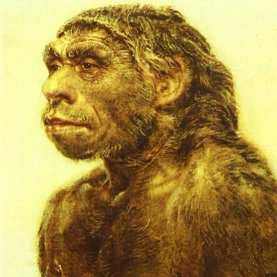 【CD輸入】 Fluxus (Rock) / Non Esistere 送料無料 4,706円