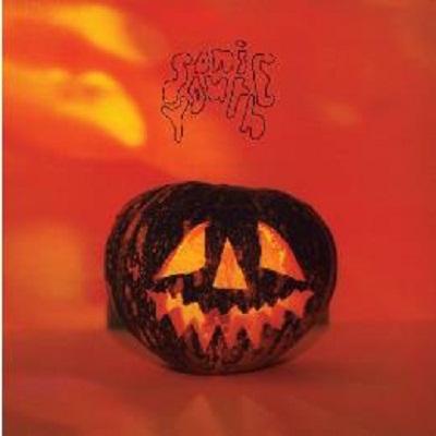 Sonic Youth sonic youthアルバム 14枚セット SONIC YOUTH - Sonic