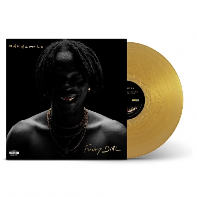 【LP】 Fireboy DML / Adedamola 送料無料の通販は 5,392円
