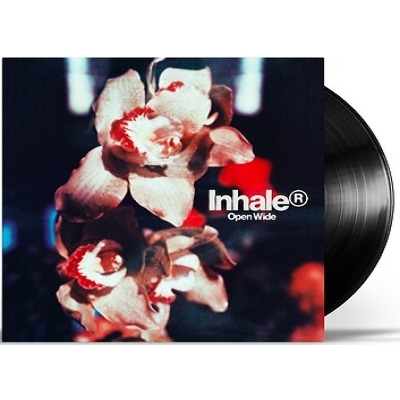【LP】 INHALER（アイルランド） / Open Wide (アナログレコード) 送料無料 5,060円