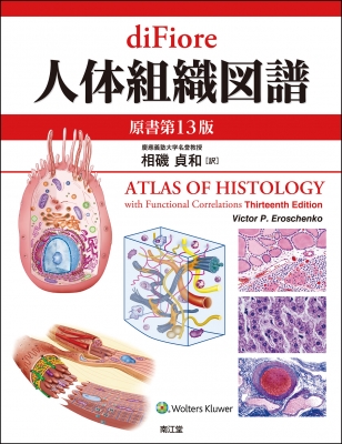 【単行本】 相磯貞和 / diFiore人体組織図譜(原書第13版) 送料無料