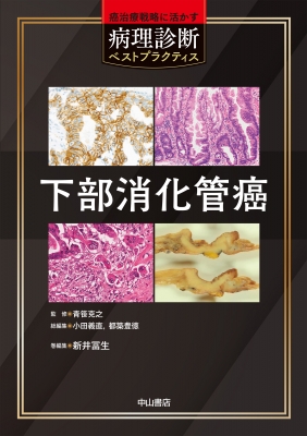 消化器外科専門医へのminimal requirements : 知識の整理と… 第3版 消化器外科専門医へのminimal requirements−知識の整理と