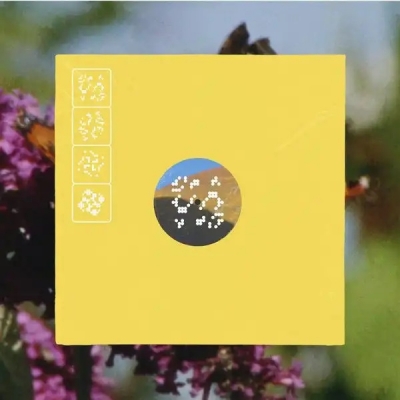【LP】 オムニバス(コンピレーション) / Staying:  Leaving Records Aid To Artists Impacted By The Los Angeles Wildfires (2枚組アナログレコード) 送料無料