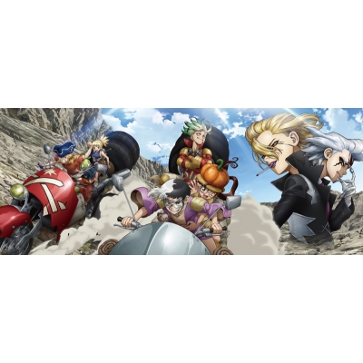 【DVD】 『Dr.STONE』4th SEASON DVD BOX 2 初回生産限定版 送料無料