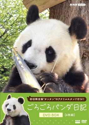 【DVD】初回限定盤 ごろごろパンダ日記 DVD BOX (アクリルスタンド付き初回限定版) 送料無料