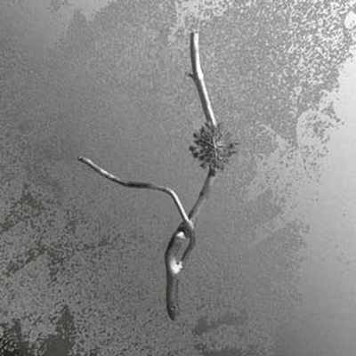 【LP】 Gaia Banfi / La Maccaia 送料無料