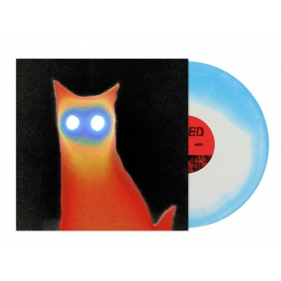 【LP】 Basement / Wired Blue Swirl 送料無料