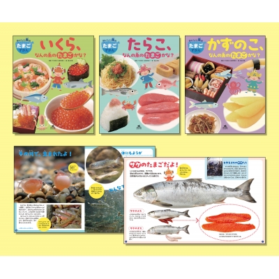 【全集・双書】 平井明夫 (水産学博士) / おいしい魚のたまごずかん(3冊セット) 送料無料 6,890円