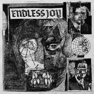【LP】 Endless Joy / Endless Joy  送料無料