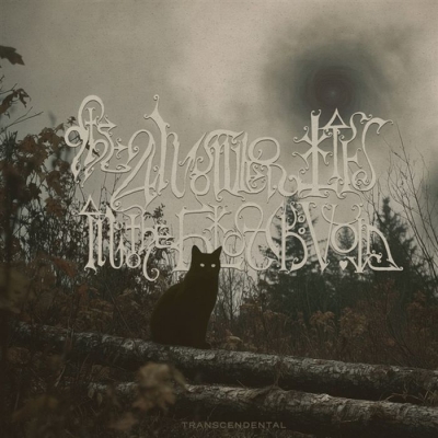 【LP】 Answer Lies In The Black Void / Transcendental 送料無料 8,580円