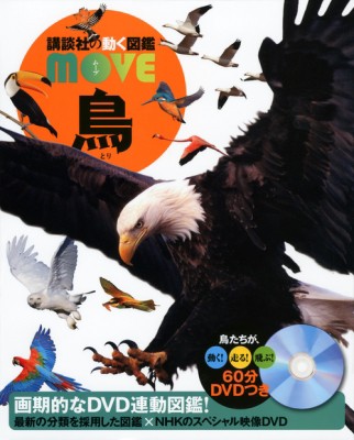 図鑑 川上和人 講談社の動く図鑑move 鳥の通販はau Pay マーケット Hmv Books Online