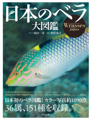 【図鑑】 西山一彦 / 日本のベラ大図鑑 送料無料