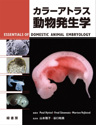 【単行本】 ポウル・ヒッテル / カラーアトラス　動物発生学 送料無料
