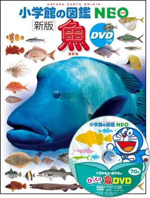 図鑑 井田齋 新版 魚 Dvdつき 小学館の図鑑neoの通販はau Pay マーケット Hmv Books Online
