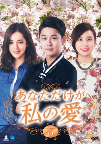 あなただけが私の愛 DVD-BOX6/ハン・チェア[DVD]【返品種別A】の通販は