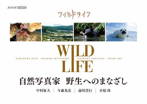ワイルドライフ 自然写真家 野生へのまなざし BOX/ドキュメント[Blu-ray]【返品種別A】の通販は