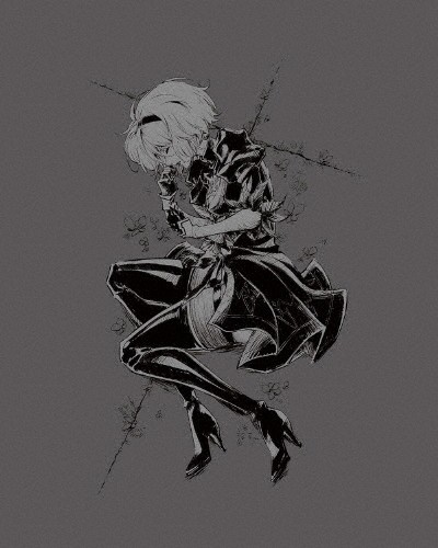 [枚数限定][限定版]NieR:Automata Ver1.1a DVD BOX Vol.1(完全生産限定版)/アニメーション[DVD]【返品種別A】