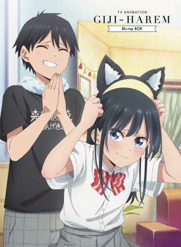 いつか陽のあたる場所で DVD-BOX(本編5枚組) ケース付 いつか陽