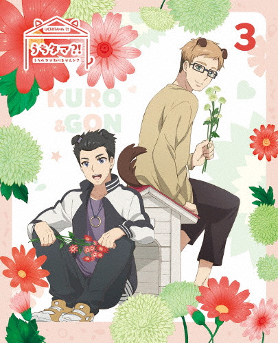[枚数限定][限定版]うちタマ?! 〜うちのタマ知りませんか?〜3(完全生産限定版)【DVD】/アニメーション[DVD]【返品種別A】の通販は