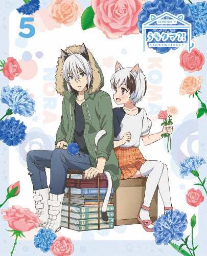 [枚数限定][限定版]うちタマ?! 〜うちのタマ知りませんか?〜5(完全生産限定版)【DVD】/アニメーション[DVD]【返品種別A】の通販は