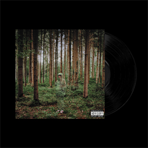 I LOVE YOU, I'M TRYING【アナログ盤】【輸入盤】▼/グランドサン[ETC]【返品種別A】の通販は