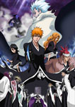 [枚数限定][限定版]劇場版BLEACH The DiamondDust Rebellion もう一つの氷輪丸(完全生産限定版)/アニメーション[DVD]【返品種別A】の通販は 6,579円