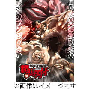 範馬刃牙 Blu-ray BOX/アニメーション[Blu-ray]【返品種別A】の通販は 15,077円